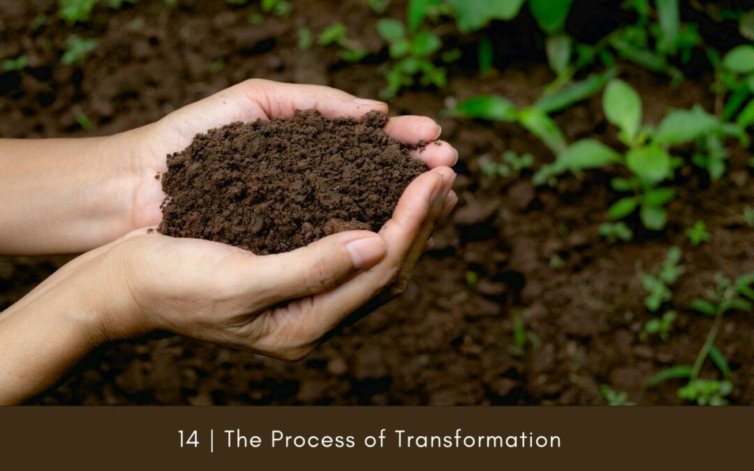 Episode 14: The Process of Transformation