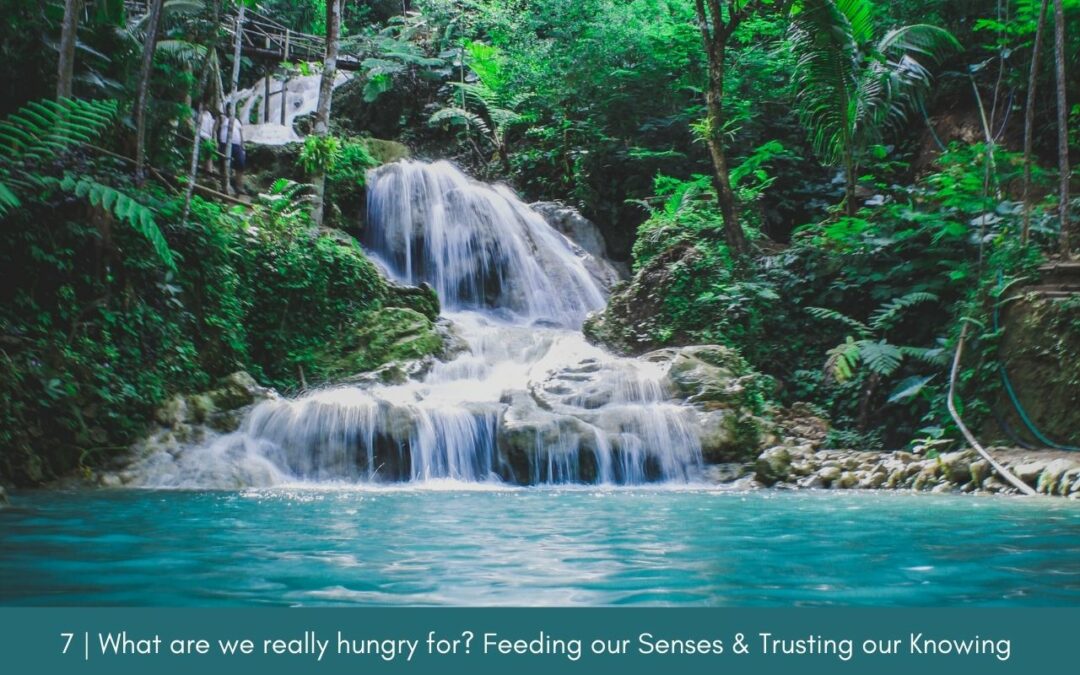 Episode 7: What are we really hungry for? Feeding our Senses and Trusting our Knowing