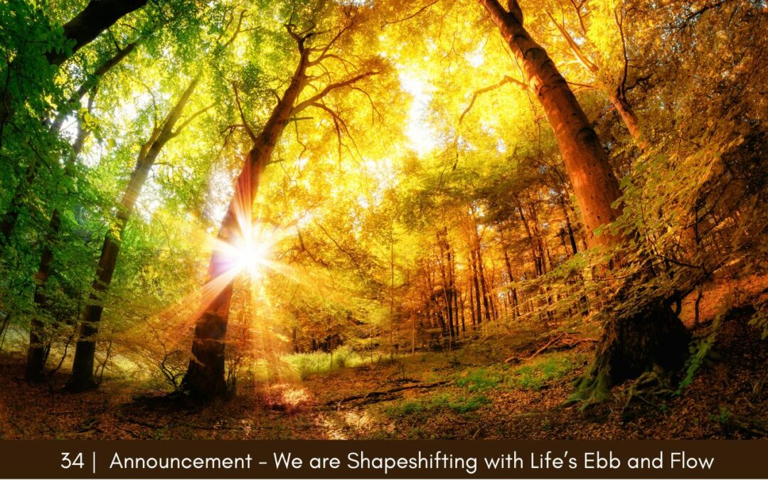 Episode 34: Announcement – We are Shapeshifting with Life’s Ebb and Flow
