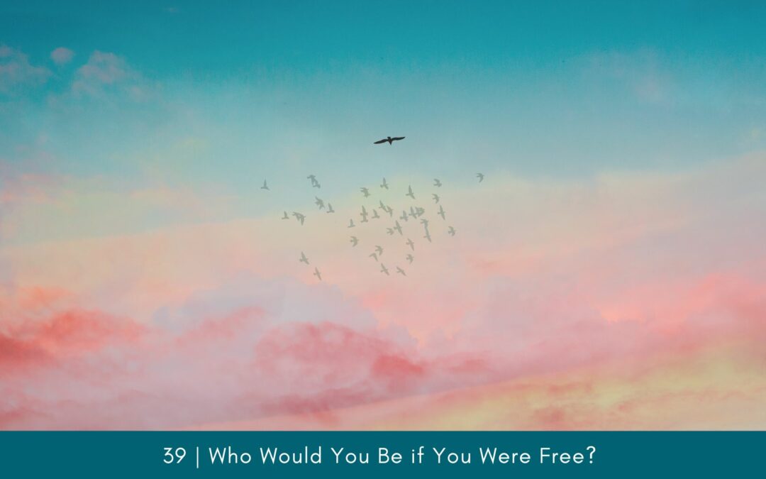 Episode 39: Who Would You Be if You Were Free?