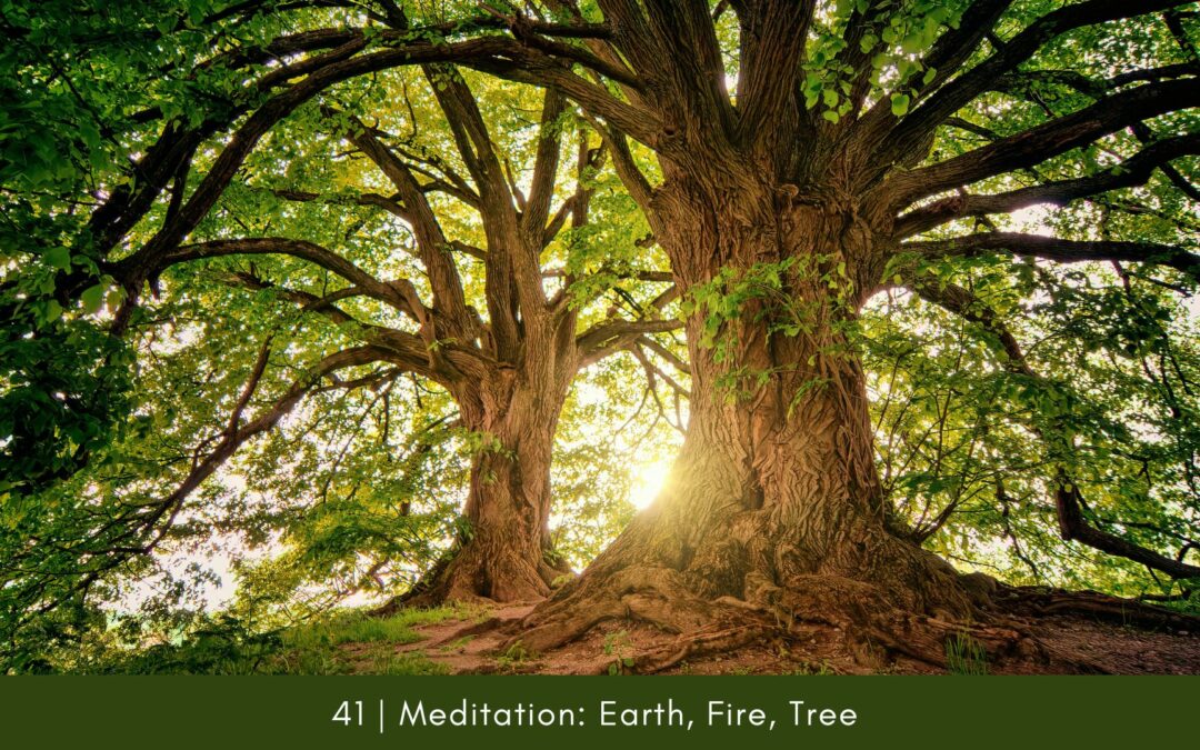 Episode 41: Meditation- Earth, Fire, Tree